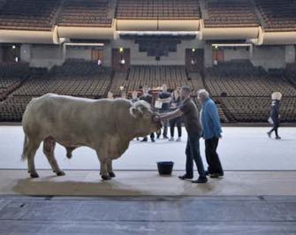 ParisUpdate-Opera-documentary-bull