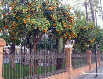 Paris Update Seville 1-Orange-Street
