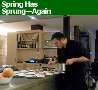 spring  restaurant, daniel rose, paris