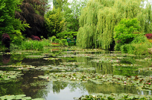 Giverny in June