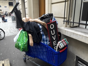 ParisUpdate-cart