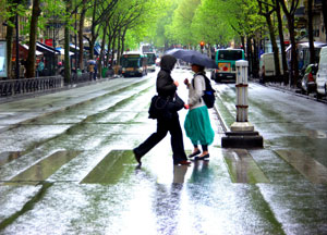 Paris Update Rain Boulevard Saint Germain