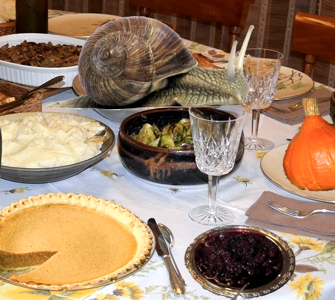 ParisUpdate-CestIronique-Thanksgiving dinner One Big Snail2