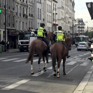 ParisUpdate-horse-cops