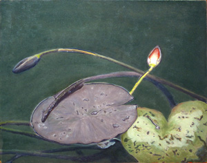 Lily Pads at Giverny, painting by Gerald Shuttlesworth