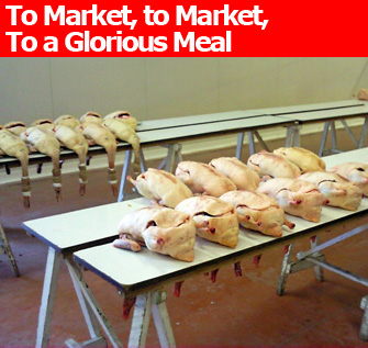 samatan foie gras market