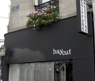 ParisUpdate-HayCut