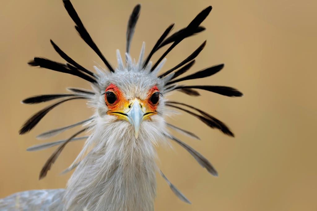 Parc des Oiseaux (Bird Park) Villars-les-Dombes France