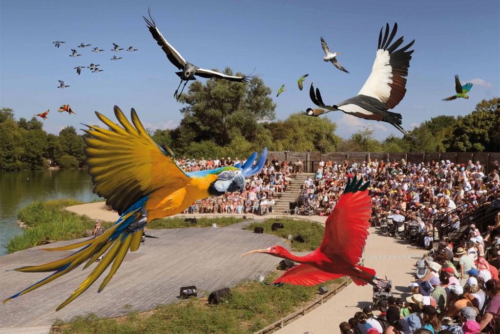 Parc des Oiseaux (Bird Park) Villars-les-Dombes France