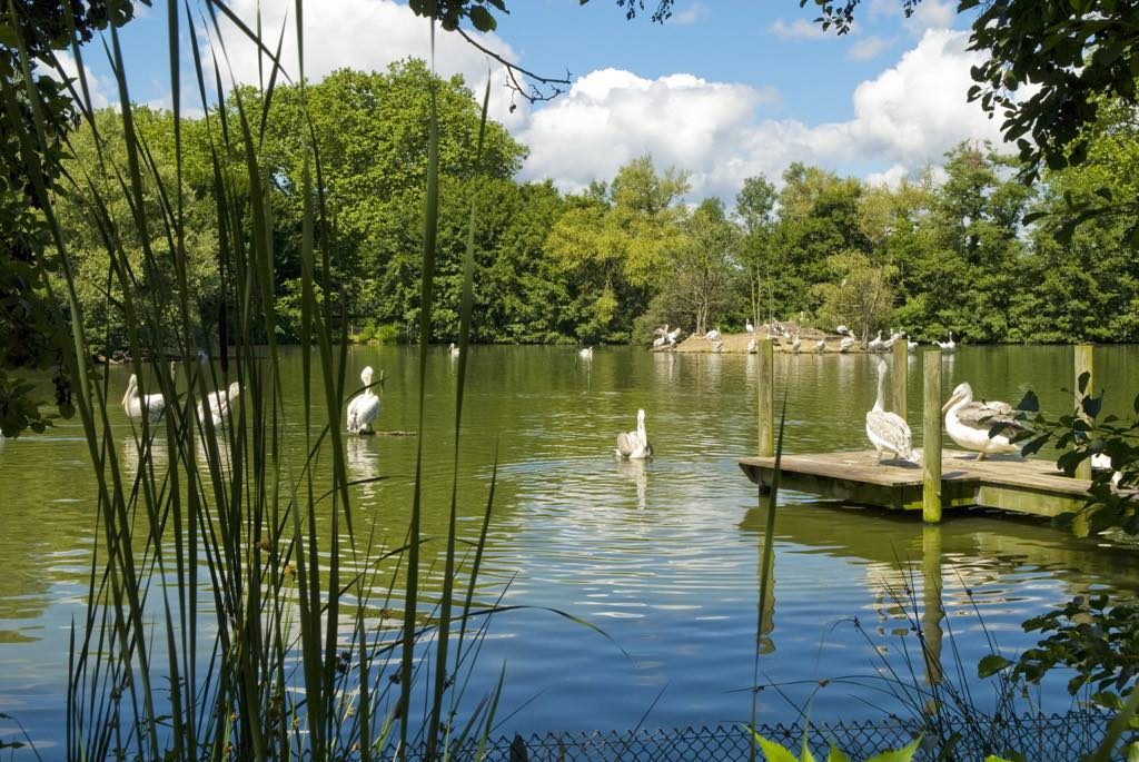 Parc des Oiseaux (Bird Park) Villars-les-Dombes France