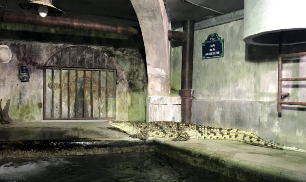 Paris’ underground crocodile today, in its sewer-inspired enclosure.