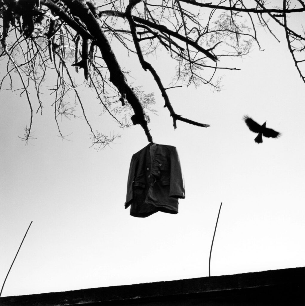 Graciela Iturbide: Heliotropo 37